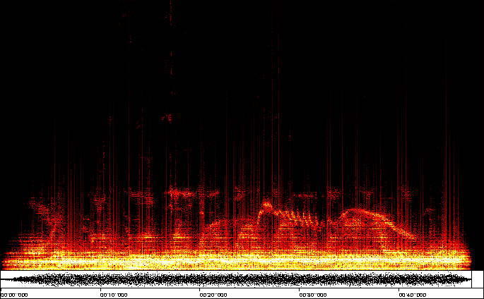 Sonogram of Richard and Steve